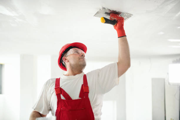 Best Mold Damage Restoration  in USA